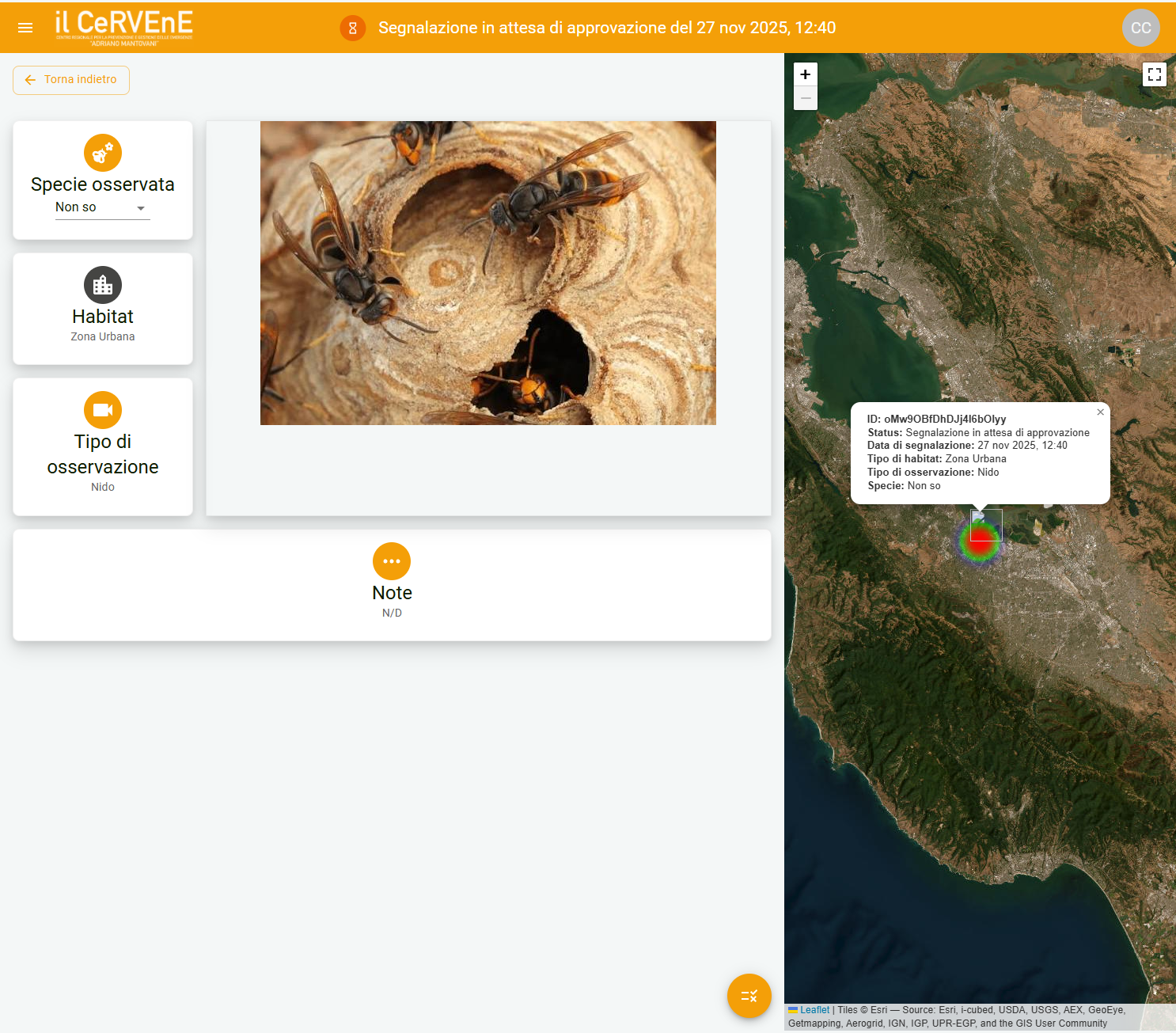 Report page