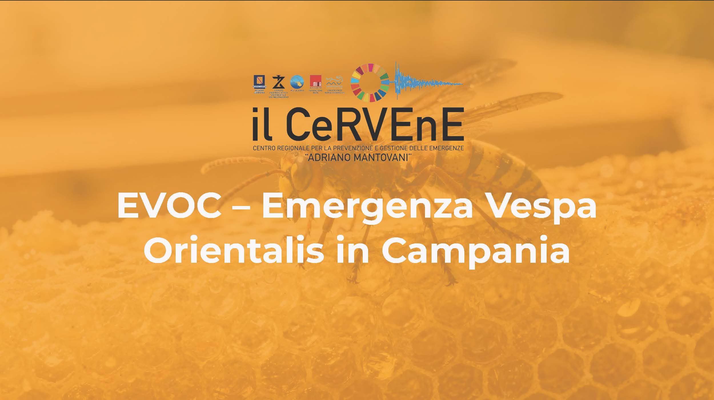 EVOC: Crowdsourced Reports to Territorial Intelligence